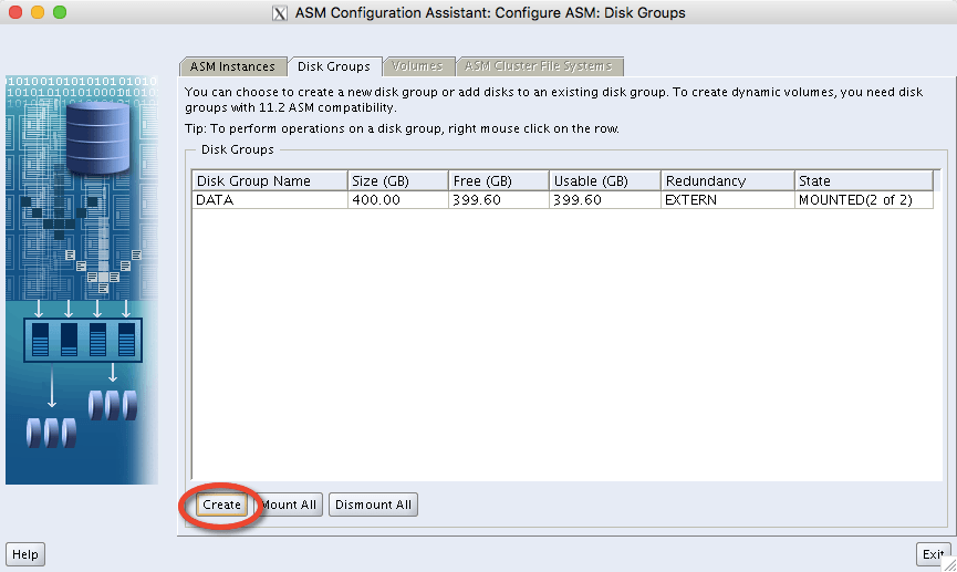 oracle-11.2.0.4-gi-asmca01